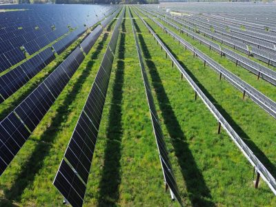 Trump Tariffs Hiking Costs, Limiting Options for Wisconsin Solar
