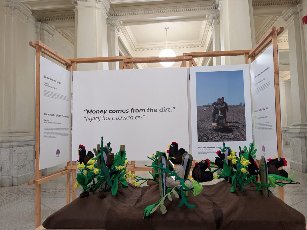 The garden area of the exhibit “Los Tsev, Cia Siab in Wisconsin” includes information about ginger and lemongrass and an interactive felt garden. Richelle Wilson/WPR