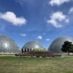 MKE County: Domes Reveals Summer Show