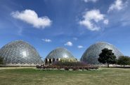 Mitchell Park Domes. Photo taken Aug. 15, 2022 by Mariiana Tzotcheva.