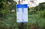 A sign warning of PFAS risks in Starkweather Creek in Madison, Wis., is posted along the creek at McCormick Park on July 20, 2021. Starkweather Creek is contaminated with PFAS, a group of human-made “forever chemicals” that accumulate in the body and persist in the environment without fully breaking down. Research has linked the substances to low birth weights, immune system challenges, thyroid problems, certain cancers and more. Isaac Wasserman/Wisconsin Watch
