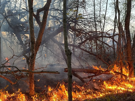 Extreme Fire Danger Tuesday, May 13, 2025