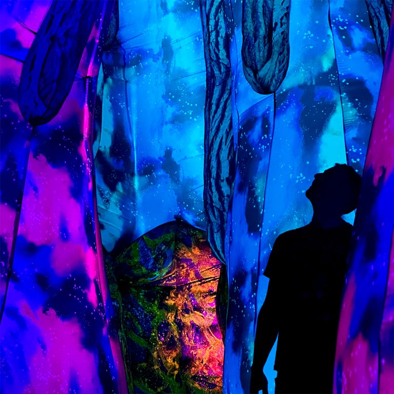 Image from Summerfest.