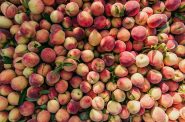 Peaches. Photo courtesy of Tree-Ripe Fruit Co.
