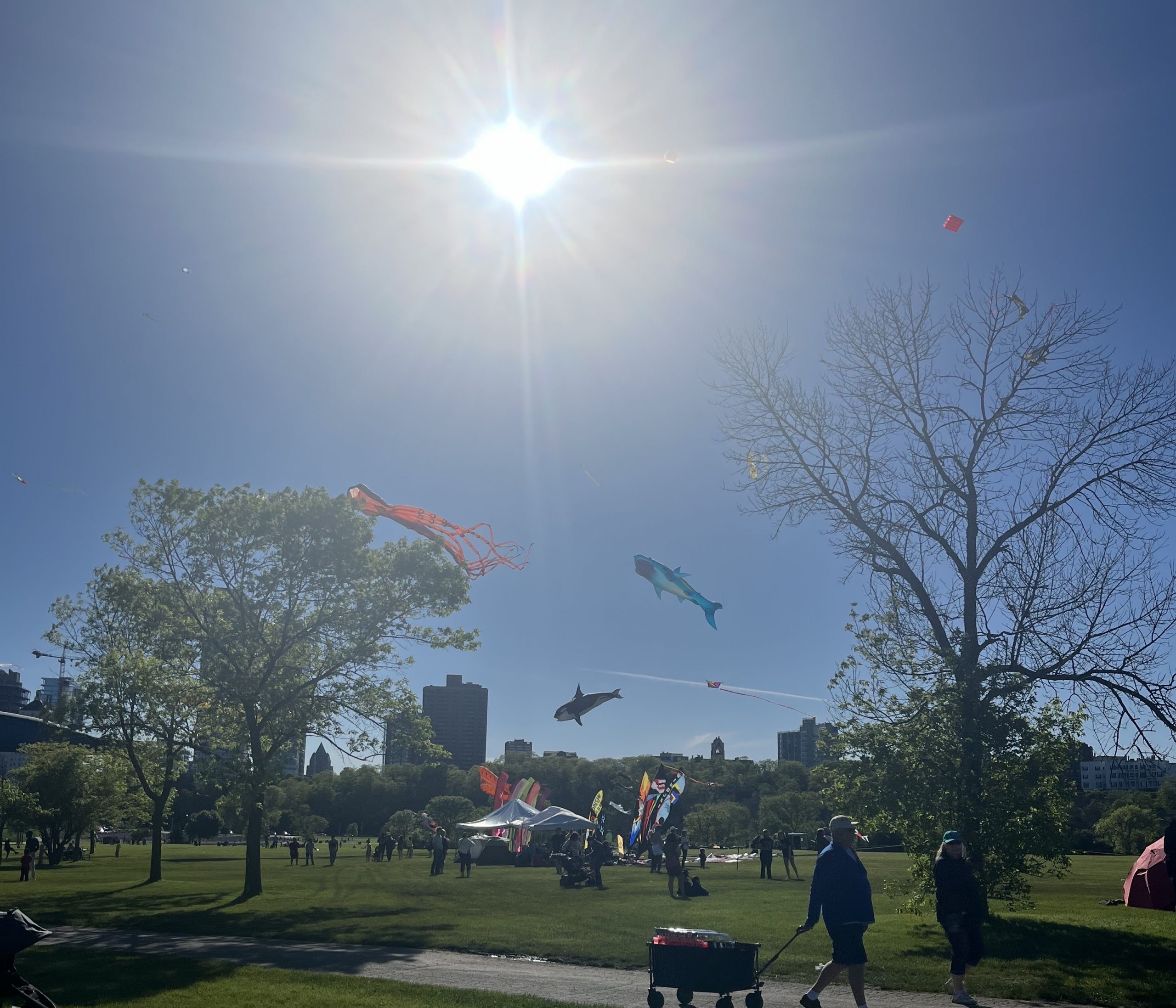 A warm day at Veterans Park in 2024. Photo by Sophie Bolich.