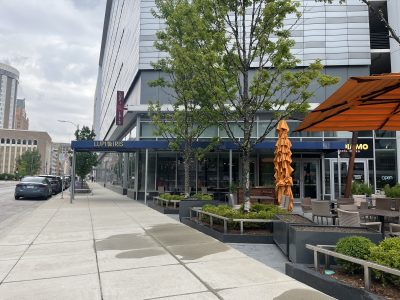 Lupi & Iris Owners Announce New Concept