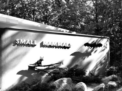 MKE County: Zoo Closing Small Animals Habitat