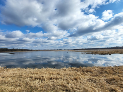 DNR Announces Continuation Of Dike Repairs On Bakken’s Pond