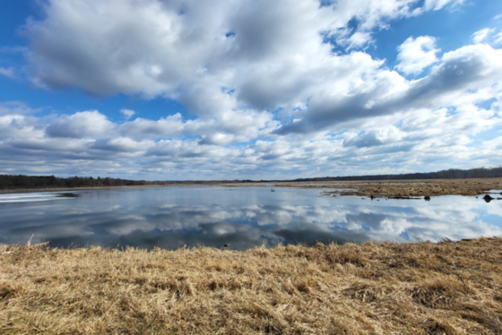The dike at Bakken’s Pond needs additional repairs after winter heaving and high water levels this spring. / Photo Credit: Wisconsin DNR