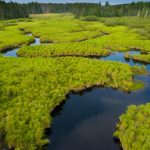 Republican Lawmakers Float Bill to Reauthorize Stewardship Program