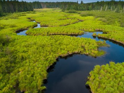 Republican Lawmakers Float Bill to Reauthorize Stewardship Program