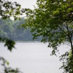 Canadian Wildfire Smoke Stokes Political Dispute