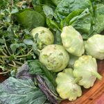 Five Ingredients With a Foodie: Soua Chang