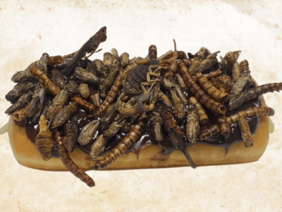 Now Serving: State Fair Unveils Nearly 100 New Foods and Beverages