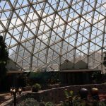 Why Mitchell Park Needs The Domes