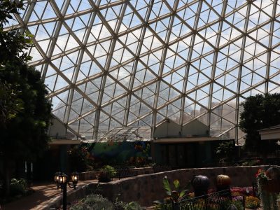 Why Mitchell Park Needs The Domes