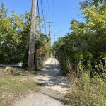 Little Used Pedestrian Bridge Will Be Expensive To Remove