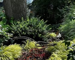 Photo from the Garden Club of Greater Milwaukee.