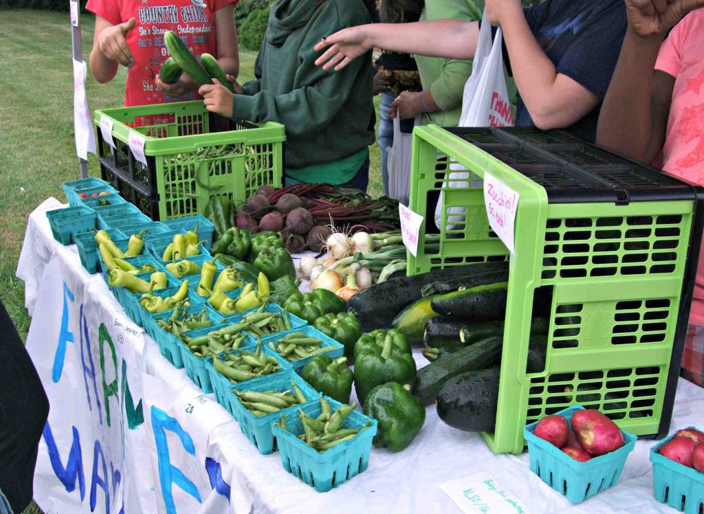 Photo: Margaret Franchino, UW-Extension