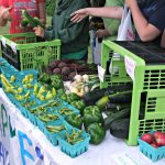 UW Food Program Shutting Down After Federal Cuts
