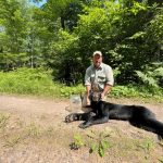 Bear With Plastic Jar On Its Head Freed In Northern Wisconsin