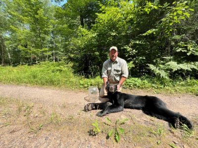 Bear With Plastic Jar On Its Head Freed In Northern Wisconsin