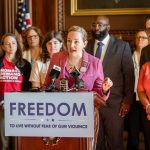 Kelda Roys Joins Growing Democratic Primary for WI Governor