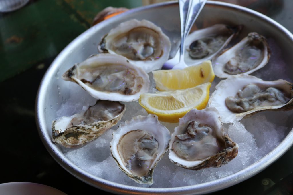Oysters on the half shell. Photo taken Sept. 19, 2025 by Sophie Bolich.