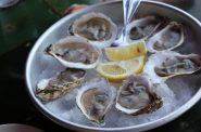 Oysters on the half shell. Photo taken Sept. 19, 2025 by Sophie Bolich.