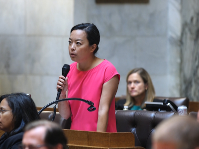 Rep. Francesca Hong Enters Race for Governor