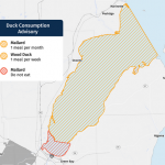 DNR and DHS Issue New PFAS-based Consumption Advisory for Ducks Harvested on Green Bay