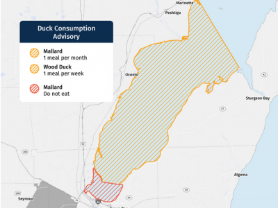 DNR and DHS Issue New PFAS-based Consumption Advisory for Ducks Harvested on Green Bay