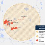 DNR and DHS Issue New PFAS-based Consumption Advisories for Fish and Deer Near town of Stella and Surrounding Waterbodies in Oneida County