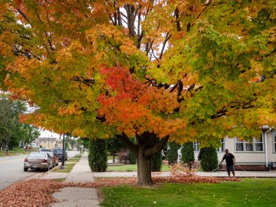 When Will Fall Colors Peak in Wisconsin?