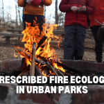 Prescribed Fire Ecology in Urban Parks