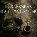 In Darkness, Audio Flowers Bloom
