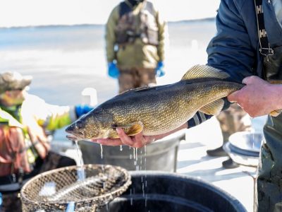 Fishing, Not Warming, Is Leading Driver of Midwest Fish Populations