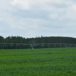 Sludge is Widely Used As Fertilizer, But It Could Include High Levels of PFAS Contamination