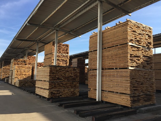 A $41.4 billion annual contribution to Wisconsin’s economy starts with the sustainable management and harvest of the 17 million acres of forests throughout the state. / Photo Credit: Wisconsin DNR