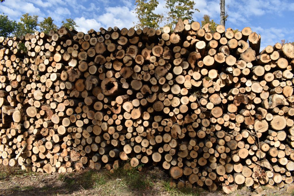 Tariffs on Wood Products Not Helping Wisconsin Producers