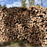 Tariffs on Wood Products Not Helping Wisconsin Producers