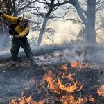 As Leaves Fall, Wisconsin Wildfire Danger Increases