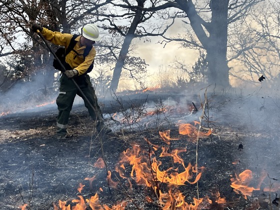 Dry weather and dead leaves increase fire danger in the fall. Check fire danger before conducting outdoor burning activities. / Photo Credit: Wisconsin DNR
