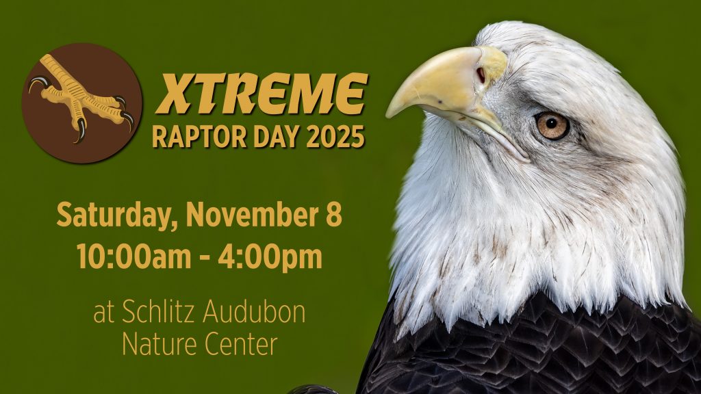 Image courtesy of the Schlitz Audubon Nature Center.