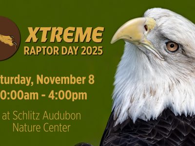 Schlitz Audubon Nature Center Hosts Xtreme Raptor Day on November 8