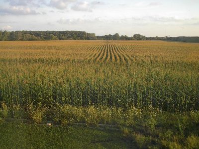 Wisconsin Lacks Standards for Pesticides in Water