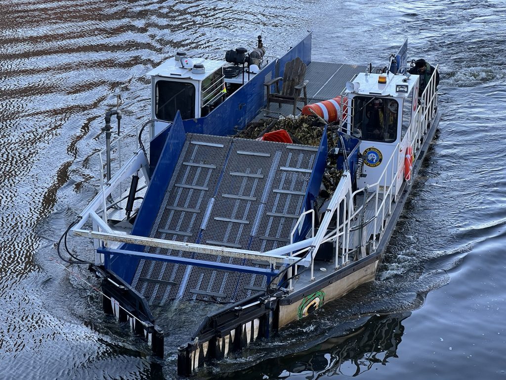 Lynyrd Skimmer. Photo by Jeramey Jannene.