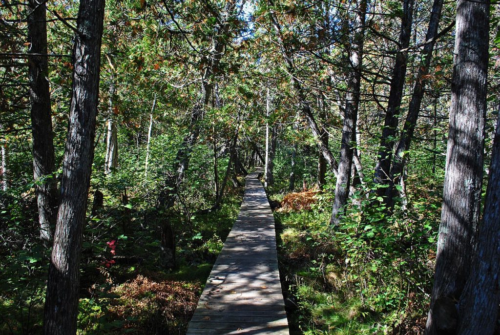 The North Country National Scenic Trail passing through the Brule Glacial Spillway State Natural Area. Photo by Aarongunnar, CC BY-SA 3.0 , via Wikimedia Commons