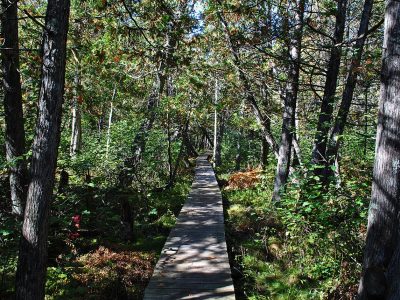 Republicans Want to Charge for Hiking, Biking, Canoeing on State-Owned Land