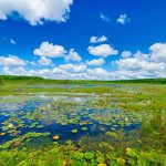 EPA Rule Change Would Strip Federal Protection From Most Wisconsin Wetlands